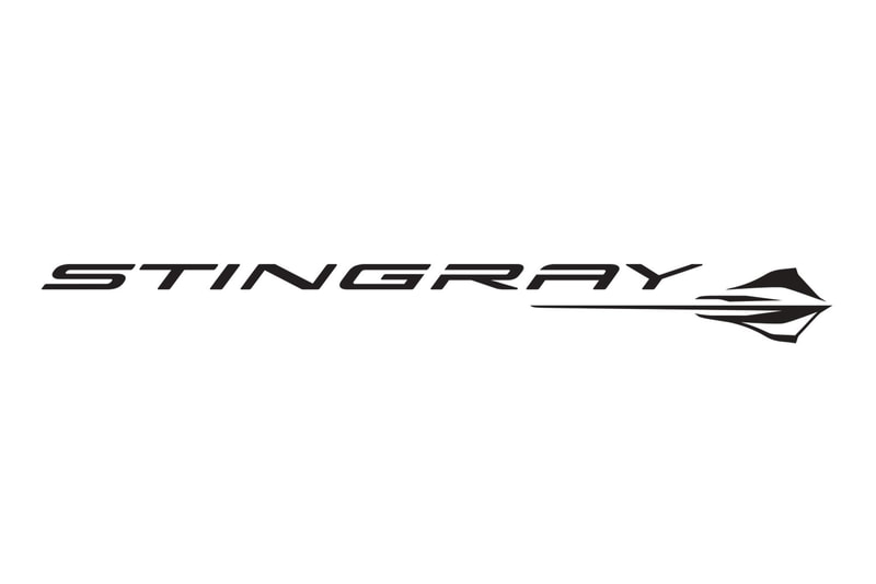 2020 Stingray logo