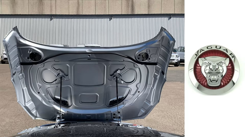 Jaguar face under hood